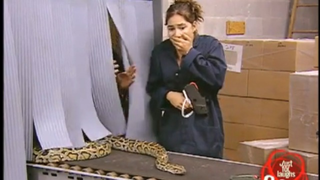 Жесткий розыгрыш смотреть онлайн