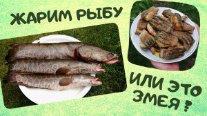 Рыба-змея | Как пожарить змееголова | ВКУСНОДЕЛ