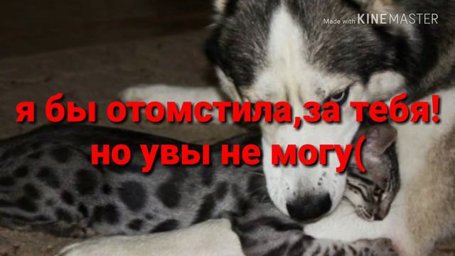 Я буду скучать ❤️🌚 смотреть онлайн