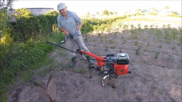 Обработка картофеля мотоблоком. Ч.1 - прополка и рыхление междурядий смотреть онлайн