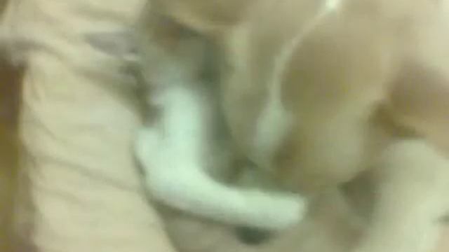 Тимошка и Рыжий-закадычные друзья! :-)