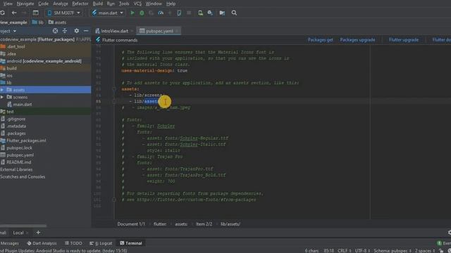 Intro View in Flutter | Flutter Tutorials | Flutter by Google | #Flutter | #CodeStudio смотреть онлайн