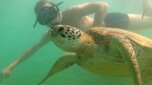 Морские обитатели подводного рифа , Marine inhabitants of the sea reef