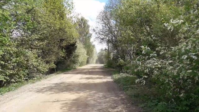 Санкт-Петербург за городом. смотреть онлайн