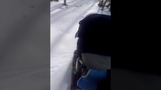 Лыжи на коляску смотреть онлайн