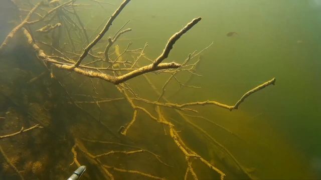 релакс под водой смотреть онлайн