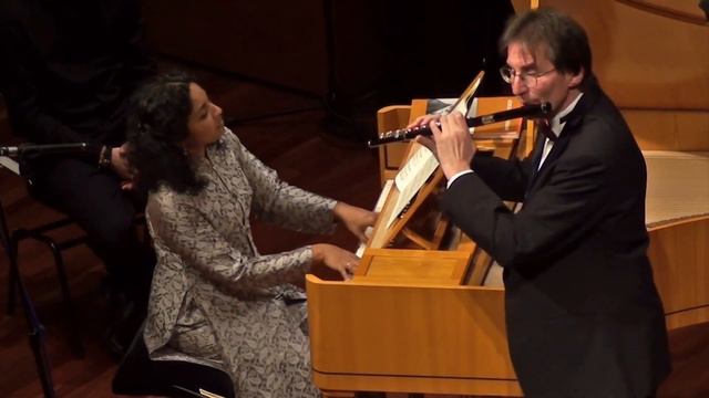 Beethoven Serenade für Flöte und Klavier op 41 смотреть онлайн