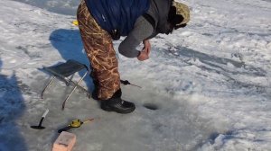 ЖЕСТКИЙ КЛЕВ... НЕ УСПЕВАЕМ. #РЫБАЛКА #капчагай #алматы. #коса #вобла. выезд - 16.01.2023.