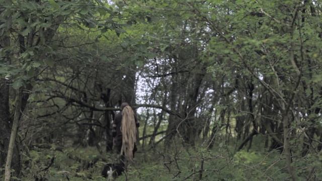 Bushcraft Build: 10 Shelter/Fire Cabin . Rope making from lime bast . Blueberry porridge . Drip lin смотреть онлайн