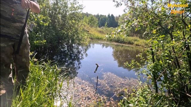 Рыбалка на поплавок. Часть - 1 "Ловля живца". смотреть онлайн