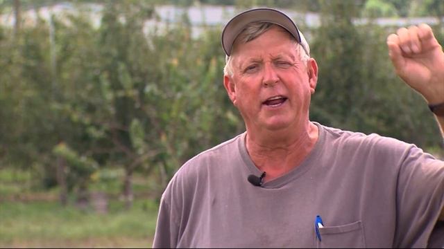 2018 Apple Scrapple Festival, Oct. 12 and 13 смотреть онлайн