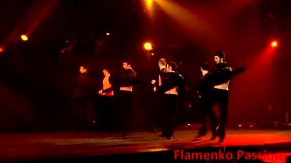 Обжигающая страсть Фламенко (Flamenko Flaming Passion)