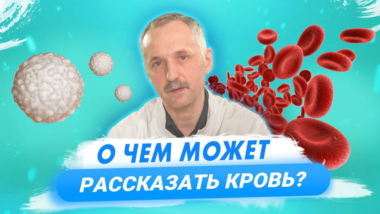Общий анализ крови. Клинический анализ. Как его расшифровать и что можно узнать? смотреть онлайн