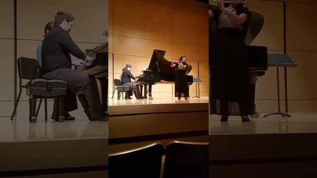 Stamitz Flute Concerto in G Major, Op. 29 смотреть онлайн