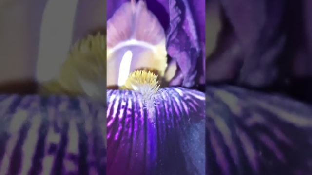 Не перестаньте миру удивляться ! смотреть онлайн