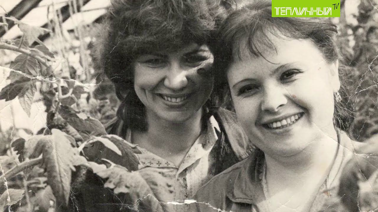 "Тепличный TV". Выпуск 19 смотреть онлайн