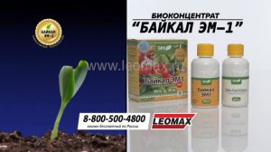Биоудобрение «Байкал ЭМ-1», 2 шт. + универсальный спрей Leomax от насекомых