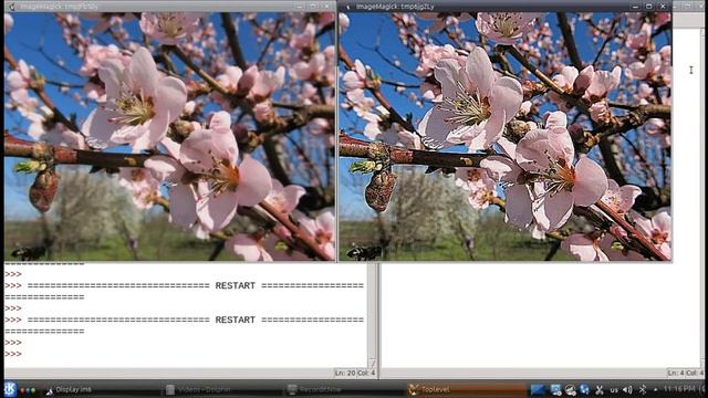 Python Imaging Library - PIL - Tutorial 02: ImageFilter смотреть онлайн