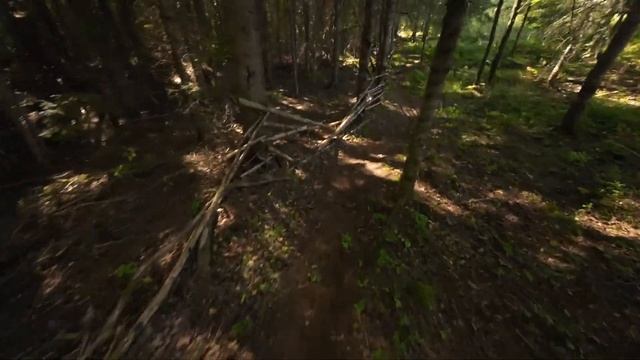 Watch This Before You Buy The DJI Action 2 Head Mount