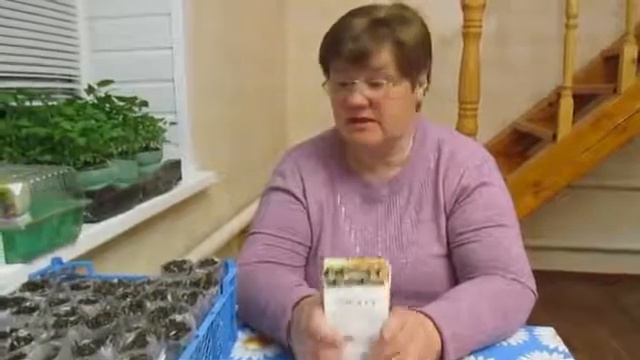 Удачный способ посадки капусты смотреть онлайн