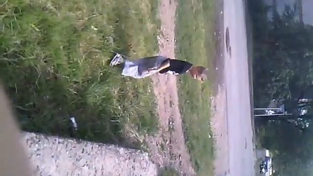 Папюркур бомжа в боровичах смотреть онлайн