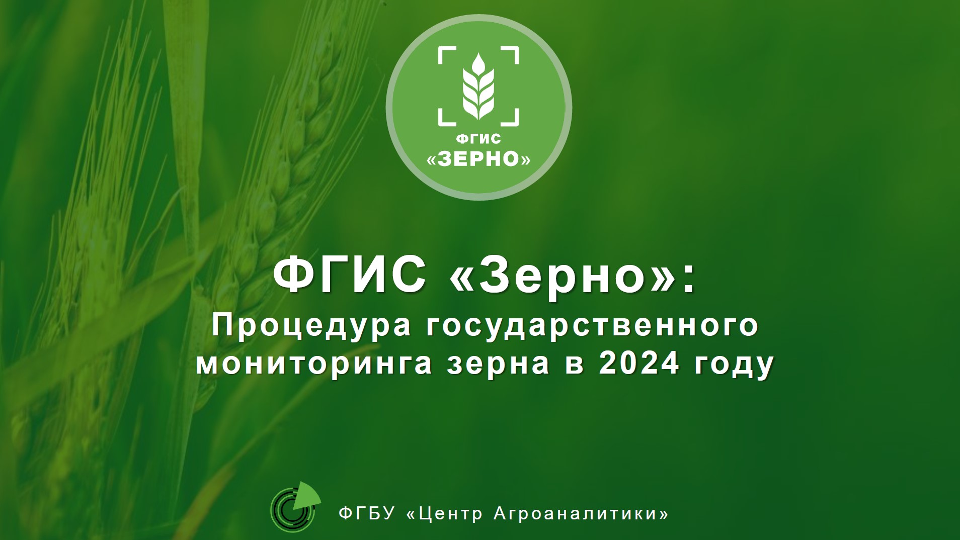 Процедура государственного мониторинга зерна в 2024 году смотреть онлайн