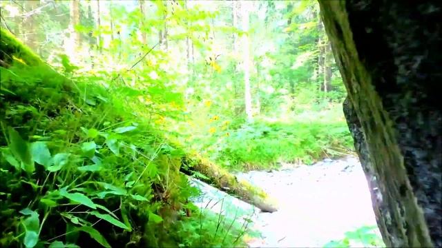 ~УХОДЯТ, НЕ ОСТАВИВ СЛЕД~Неоклассическая фортепианная музыка души. смотреть онлайн