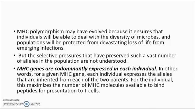 MHC & T Lymphocyte presentation смотреть онлайн