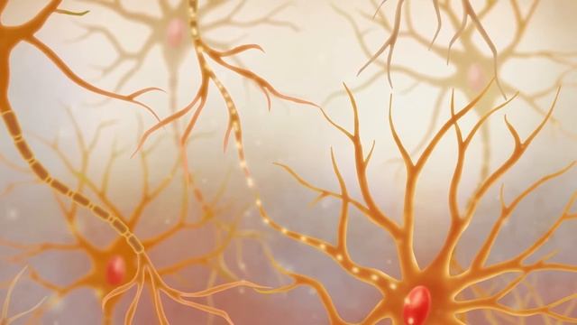 How Neurons Communicate смотреть онлайн