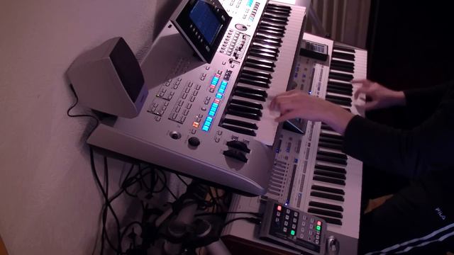 Du hast mich 1000 mal belogen - Andrea Berg Cover Tyros 4 PA2x смотреть онлайн
