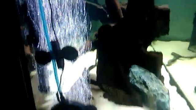 Аэрационная шайба на стекле. смотреть онлайн