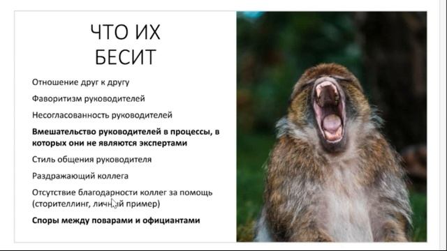 Управление персоналом: как привлечь на работу самых лучших и прекратить текучку кадров смотреть онлайн