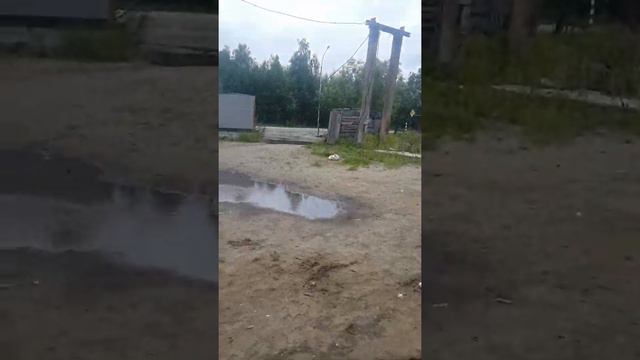 Печора "Альтернатива" и "Монолит". Бедные жильцы дома. Деньги в никуда смотреть онлайн