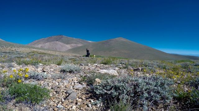 White Mountain and Beyond: A Traverse of the Whites смотреть онлайн