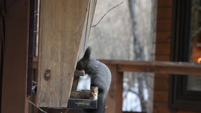 120424 смотреть онлайн