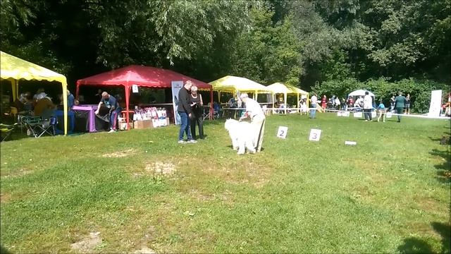 Национальная выставка собак всех пород ранга САС/ЧФ РФЛС 