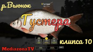 Русская Рыбалка 4 Где Клюет р.Вьюнок Густера 26.11