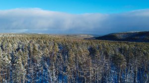 Заезд на промысловую охоту. Охота с лайками. Первый трофей.