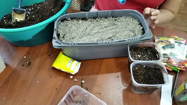 Посеяла перец и лук на репку. 28 февраля смотреть онлайн