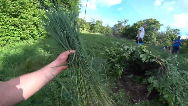 ПОСТРОИЛИ ШАЛАШ В ЛЕСУ! У КОГО ЛУЧШЕ ШАЛАШ! смотреть онлайн