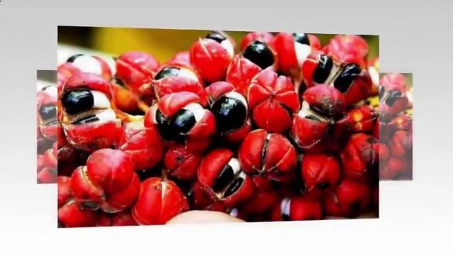 Шугаринг: долговременное удаление волос без последствий