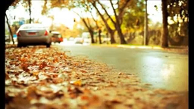 Любимая моя