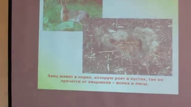 Компьютер. Образование. Интернет. смотреть онлайн