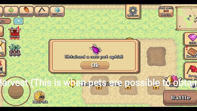 How I got Pet Pocket Ants смотреть онлайн