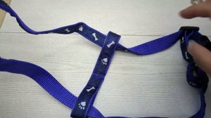 Как правильно надеть шлейку на собаку, кошку / Шлейка для собаки / Надеваем шлейку на собаку