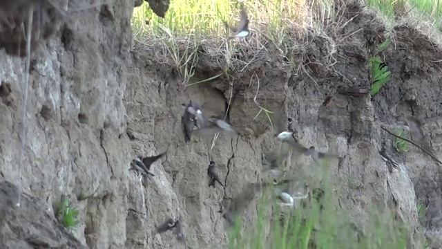 рыбалка Иртыш.