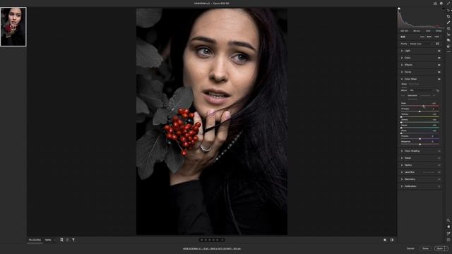Black Tone Presets - Photoshop Presets Free xmp смотреть онлайн