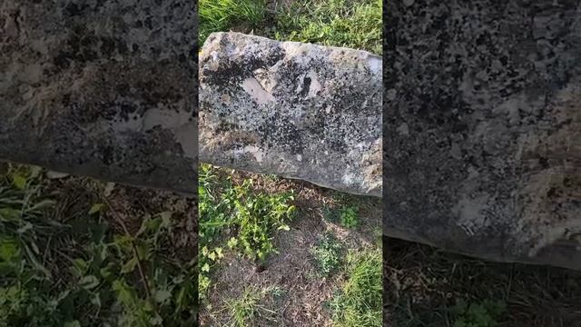 Кемпинг в штате Канзас, лето 2021 смотреть онлайн