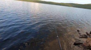 Рыбалка на оз. Рогозере! Рыбалка в Мурманске. Как ловить форель