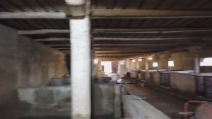 Полы в свинарнике. Почему выбрали резиновый пол для свиней.  Выпуск 7